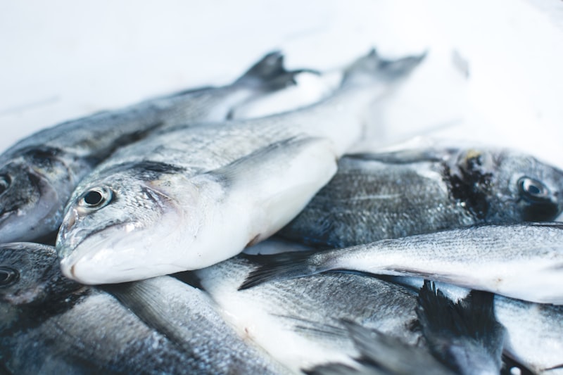 Premium frozen fish on ice - AMDODAL FISHERY