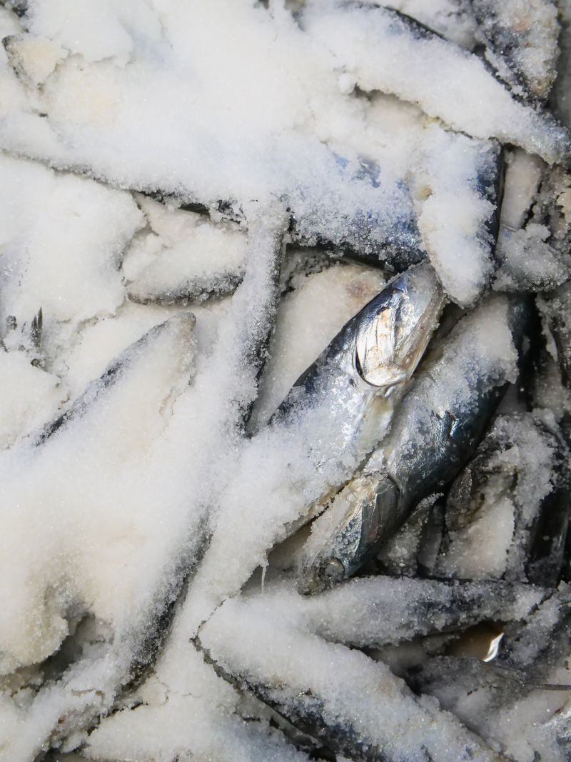 Frozen Stockfish Panla